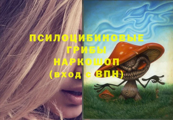 гашик Семёнов