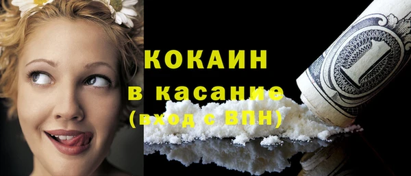крисы Баксан
