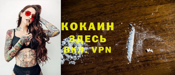 крисы Баксан