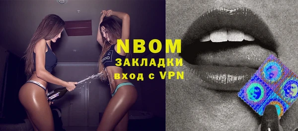крисы Баксан