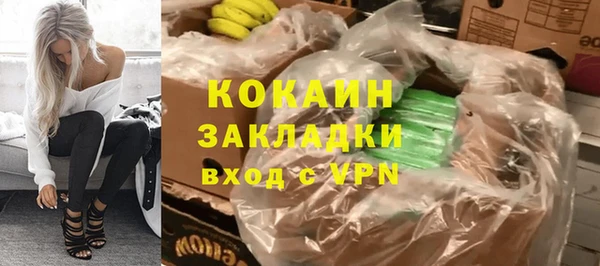 крисы Баксан