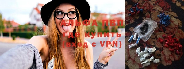 крисы Баксан